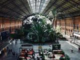 En stor indendørs togstation med højt glasloft, frodige tropiske planter i midten og mennesker, der går og sidder på caféer og bænke.