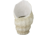 En keramikvase formet som en struktureret muslingeskal, beige på ydersiden med en glat hvid inderside.
