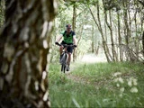En person med hjelm og grøn skjorte kører på mountainbike på en smal grussti gennem en solbeskinnet skov med høje træer og grønt græs.