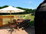 Træterrasse med bord, stole og stor parasol med udsigt over en græsmark med fugle, der flyver, og en bison i det fjerne under en blå himmel.