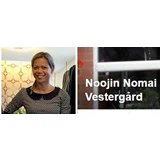 Flot kjole fra Noojins frisørsalon & Retro kjoler