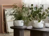 To hvide keramikkrukker med grønne planter står på et mørkt træbord; tomme rammer læner sig op ad en lyserød væg i baggrunden.