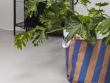 En stor bladgrøn plante i en brun og blåstribet stofkurv står på et lysegråt gulv ved siden af sorte metalmøbler.
