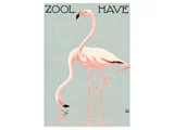 Indrammet ZOO - A - WENNERWALD, FLAMINGOER plakat fra Permild & Rosengreen