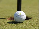 En golfbold med Odense Eventyr Golfs logo hviler på kanten af et hul på en pænt trimmet green.