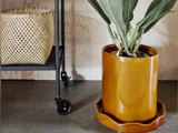 En stor, frodig plante i en blank, ravfarvet keramikpotte står på et matchende fad ved siden af en flettet kurv på en sort metalvogn med hjul.