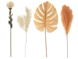 Fire forskellige tørrede botaniske stængler: en protea-blomst, tyndt fjerlet græs, et stort solbrunt monstera-blad og en orange pampasgræsfane, som alle står oprejst.