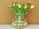 En klar glasvase med gule og røde tulipaner står på en hvid flade mod en lysebrun baggrund.