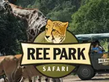 Et logo med et gepardansigt og teksten REE PARK SAFARI overlejrer et billede af en giraf, antiloper og et køretøj med mennesker i en dyrepark.