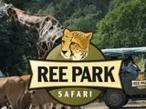 Logo for Ree Park Safari med et gepardansigt, en giraf, en antilope og et safarikøretøj med mennesker i baggrunden, omgivet af grønne træer.