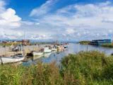 Flere små både ligger i en rolig marina omgivet af grønne områder, med blå himmel og skyer over sig og bygninger i baggrunden.