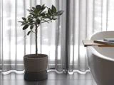 En potteplante står på et flisegulv ved siden af et moderne, hvidt badekar med gennemsigtige, grå gardiner i baggrunden.