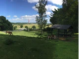 En græsmark med græssende hjorte, et træskur, træer, et dansk flag på en stang og biler, der kører på en vej under en blå himmel med spredte skyer.