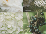 SKANDINAVISK, ROSENHAVE, Duftlys, Alba rose, Elderflower, Geranium, Blackcurrant buds, Rosa, 200g.