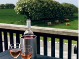 En flaske rosévin og to fyldte glas står på et bord udenfor med udsigt til en grøn mark med køer og træer i baggrunden.