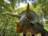 En stor, realistisk triceratops-dinosaurstatue står i en frodig, grøn skov under en lys, delvis overskyet himmel.