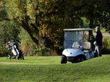 En mand står ved siden af en golfvogn på en græsbane med en golfbag på en vogn i nærheden og træer i baggrunden.