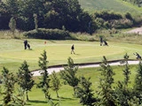 Fire personer spiller golf på en grøn bane omgivet af træer og græs, med en person i nærheden af hullet og andre gående med golfbags.