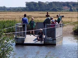 En gruppe mennesker, heriblandt flere børn, står og sidder på en lille metalpontonfærge, der krydser et lavvandet område i et landligt, græsklædt landskab på en solrig dag.
