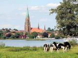 Historisk dagstur til Gottorp Slot og Slesvig Domkirke - Fredag d. 10. oktober