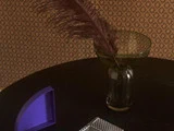 En brun fjer i en glasvase står på et mørkt rundt bord med en lilla geometrisk genstand og en stribet notesbog på en mønstret tapetbaggrund.