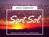 "Oplev Sort Sol" ophold på Hotel Ballumhus nabo til Nationalpark Vadehavet
