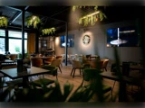 Moderne caféinteriør med grønne stole, træborde, planter, der hænger fra loftet, store vinduer, vægdekoration og tv-skærme, der viser billeder. Rummet er blødt oplyst og indbydende.