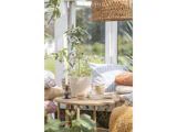 En hyggelig udestue med et kurvebord med en potteplante, kopper og en vase, omgivet af farverige puder og grønne planter, med naturligt lysindfald.