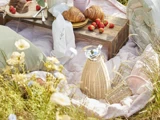 En hyggelig picnic med croissanter, jordbær, en termokande og puder på et tæppe på en solrig græsmark.
