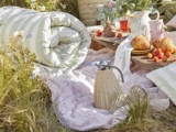 Et hyggeligt picnic-setup udendørs med et stribet sammenrullet tæppe, kager, jordbær, drikkevarer og en termokande på en træbakke blandt vilde blomster og græs.