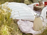 En stribet pude og en cremefarvet termokande ligger på et tæppe i græsset ved siden af en træbakke med jordbær, drikkevarer og bestik og skaber en hyggelig picnicscene.