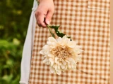 En person i et brunternet forklæde holder en stor, lys blomst ved stilken med grønne planter i den slørede baggrund.
