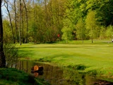 Frodig grøn golfbane med et rødt flag på greenen, omkranset af træer og et lille vandløb i forgrunden.