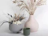 Tre vaser med tørrede blomster: en grå vase og en pink vase indeholder forskellige tørrede græsser; en lille grøn vase er tom foran dem, alt sammen på en almindelig lys baggrund.