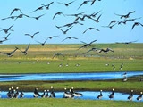 Kroophold 10 km fra grænsen - Abild Kro & Hotel i skønne Sønderjylland