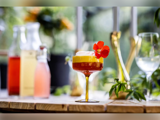 En farverig lagdelt cocktail i et glas pyntet med en rød spiselig blomst står på et træbord med flasker og planter sløret i baggrunden.