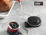 Weber iGrill mini