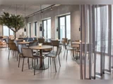 En moderne café med runde borde og brune stole, store vinduer, hængende lamper, et indendørs træ og tynde gardiner, der skaber en lys og minimalistisk atmosfære.