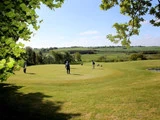 Fire personer spiller golf på en grøn bane omgivet af træer og åbne marker under en klar blå himmel.