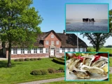 Østers-safari for 2 i Vadehavet og ophold på historisk marskgård nær Tønder