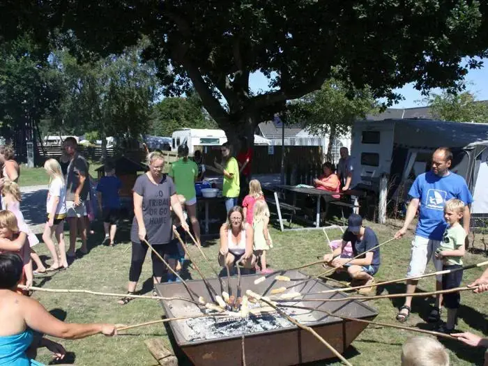 En gruppe mennesker og børn samles udendørs og rister mad på lange pinde over et bålsted med træer, græs og autocampere i baggrunden.