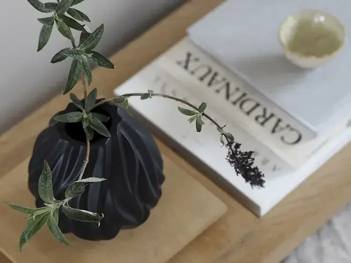 En sort vase med en bladgren står på en træplade ved siden af stablede bøger og en lille, lys skål.