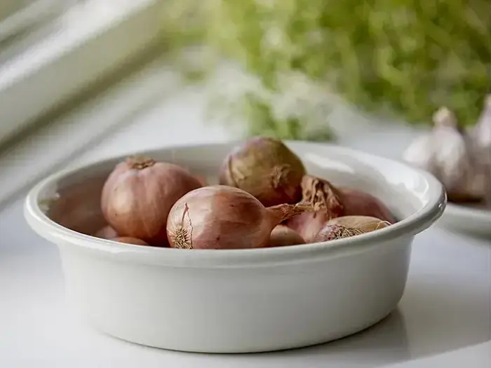 Zone Denmark, Inu, Håndspa, Vaporous Green, Emaljeret metal, 1Liter, Dia:22 x H:7,1 cm