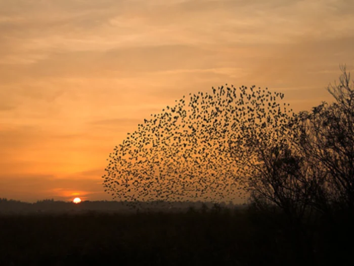 Weekendophold for 2 personer på Abild Kro & Hotel 