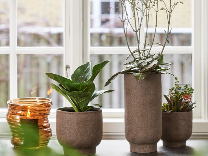 EDELWEISS, CLAUS, Urtepotte, Brun, Stentøj, L:25 x B:13 x H:12,6 cm 