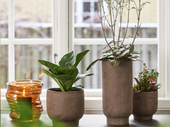 Tre potteplanter i brune potter med struktur og en tændt orange glaslysestage står i vindueskarmen foran et lyst vindue.