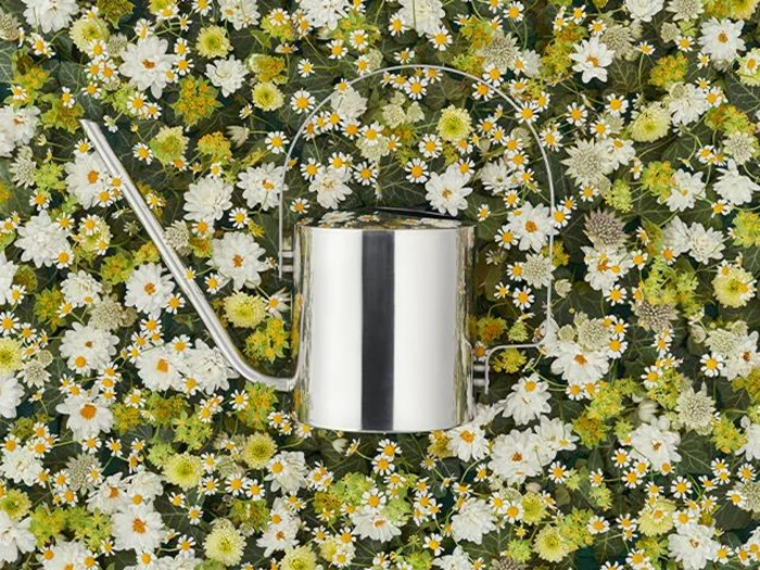 Stelton Original blomstervandkande 