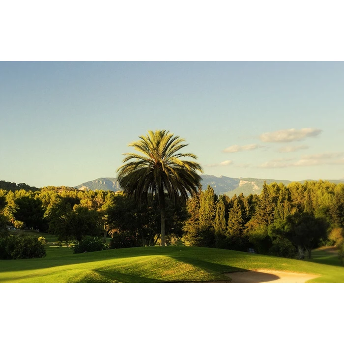 Golfrejse for 2 personer med ECCO Tour Mallorca