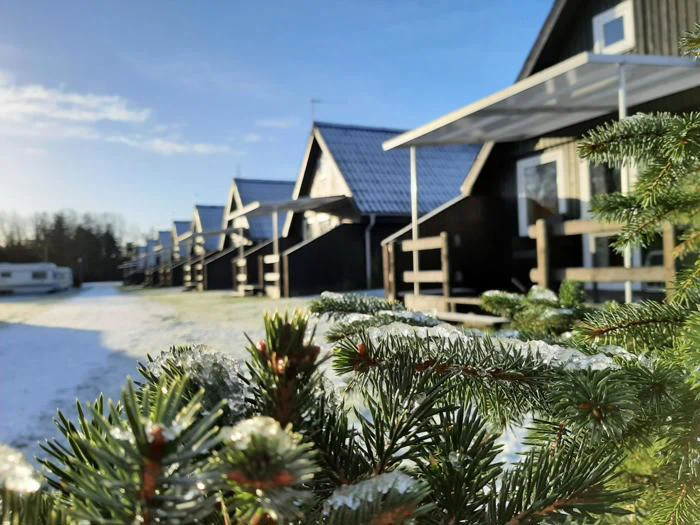 En række mørke træhytter med snedækkede tage og verandaer, med frosne fyrretræsgrene i forgrunden under en klar blå himmel.
