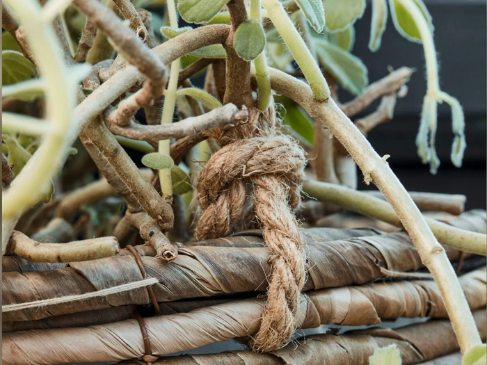 House Doctor, Hover, Urtepotter, Natur, Bananblade, Sæt af 2 stk., H:23xDia:16 cm x H:18xDia:14 cm